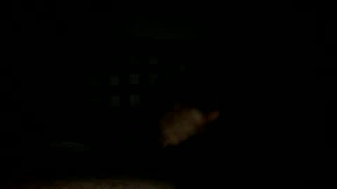 Snapshot of lonezane chatting on November 2025 07:34:02 PM Handsome Cock online show from November 2025 07:34:02 PM