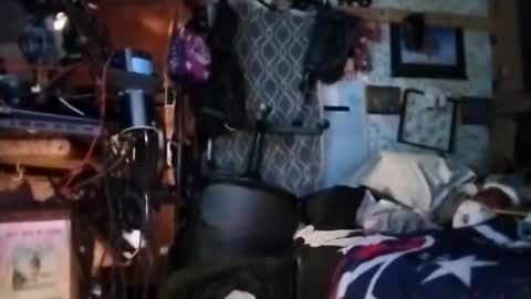 Mr. FogoDeChao online show from March 2026 11:38:01 AM