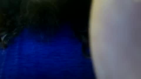 longonetexas online show from June 2026 04:20:02 PM
