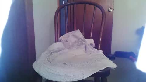 lookingforcougars500 online show from November 2025 05:59:01 PM