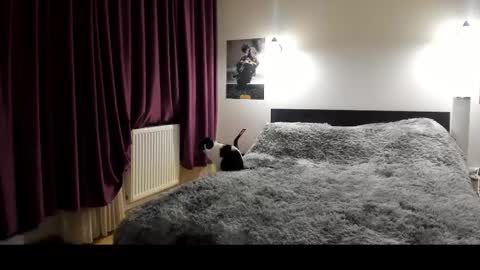 Lora online show from February 2025 05:53:01 PM