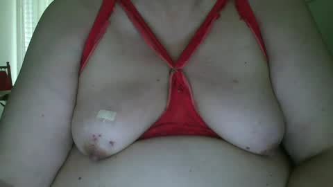 Lory online show from February 2025 10:15:02 AM