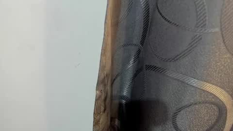 lotto_bloom online show from January 2026 12:33:02 PM