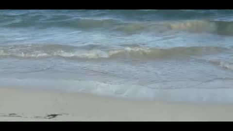 Snapshot of louis_zh chatting on November 2025 09:04:01 PM Louis online show from November 2025 09:04:01 PM