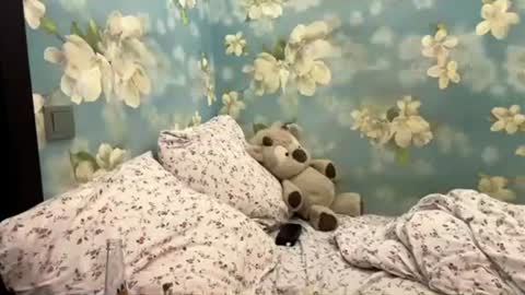 Sasha online show from July 2026 07:28:02 PM