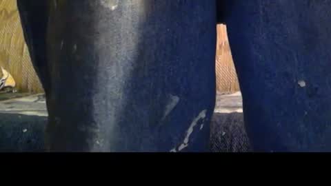 love69bush online show from February 2026 04:16:01 AM