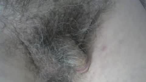 Snapshot of loveabush49 chatting on November 2025 08:53:02 PM loveabush49 online show from November 2025 08:53:02 PM