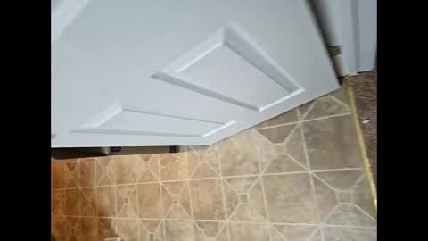 loveitwet8 online show from February 2025 08:26:01 PM