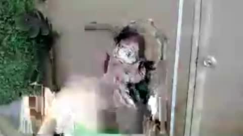 Snapshot of lovely_kimmyxx chatting on July 2026 07:33:01 AM kimmy online show from July 2026 07:33:01 AM