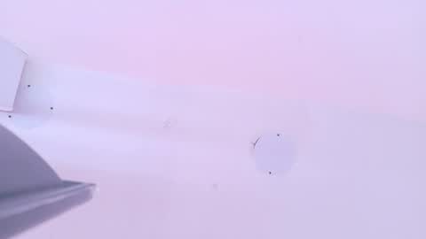 L O V E  online show from March 2026 11:39:02 AM