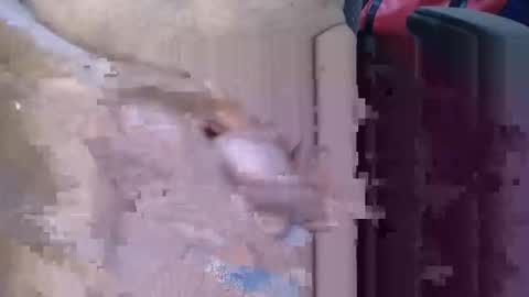 Lovesblackazz online show from March 2026 03:43:01 AM