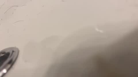 lovetoplayinmnwithu online show from January 2025 11:34:02 PM