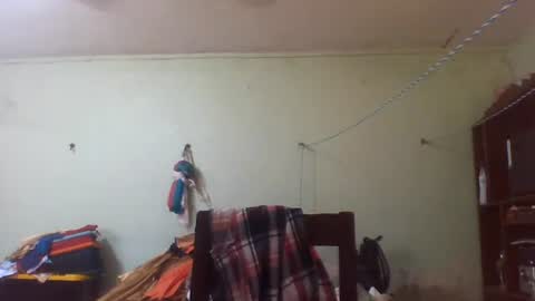 Snapshot of lpmauriciosantamaria chatting on July 2026 12:53:01 PM lpmauriciosantamaria online show from July 2026 12:53:01 PM
