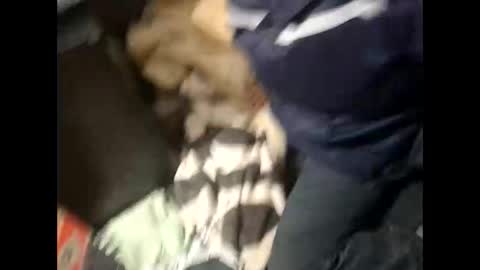 Lshot D online show from November 2025 08:00:01 PM