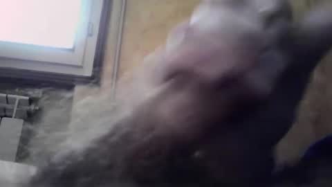 lucafava90 online show from January 2025 09:32:02 AM