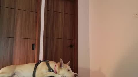 Luci y Fer online show from September 2025 01:49:01 AM