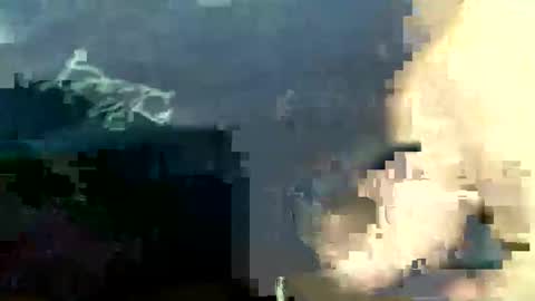 lucienal online show from November 2025 03:50:02 AM