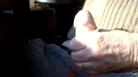 BIG Daddy cock. Tips make it harder  online show from March 2026 10:08:02 AM