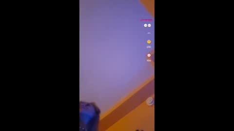 Snapshot of lucyvybes_and_gogert chatting on November 2025 11:58:01 AM Lucy Vybes and Go-Gert online show from November 2025 11:58:01 AM