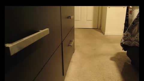 LUGO online show from October 2025 05:27:02 AM