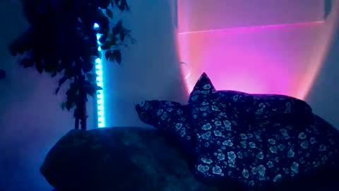 luisjg24hrs online show from May 2026 08:42:02 AM