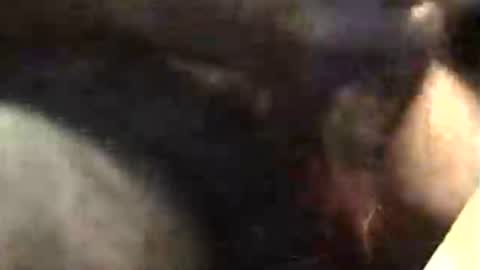 lukestarfckr online show from November 2025 05:34:01 AM