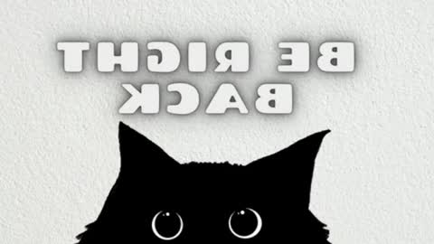 Snapshot of lulu_js_ chatting on May 2026 12:30:01 AM elizabeth online show from May 2026 12:30:01 AM