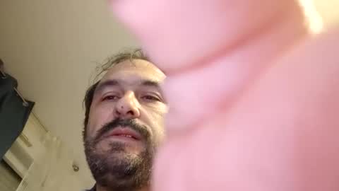 Snapshot of luluberlu042 chatting on September 2025 11:16:01 PM Ludo online show from September 2025 11:16:01 PM