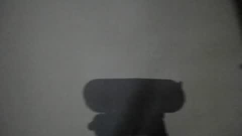 Snapshot of lumineverligth chatting on June 2026 03:06:02 AM Emily online show from June 2026 03:06:02 AM