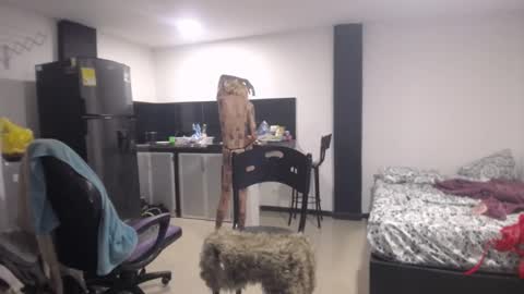 Snapshot of luna_rosita chatting on March 2025 07:05:02 PM Luna online show from March 2025 07:05:02 PM