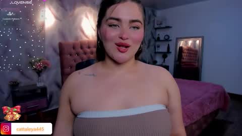  Luna online show from November 2025 04:05:01 AM