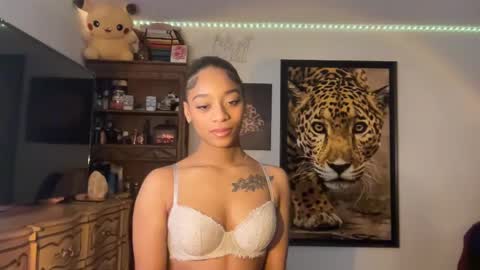 Snapshot of lunaa_11 chatting on December 2024 06:53:01 AM lunaa_11 online show from December 2024 06:53:01 AM