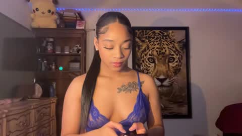 Snapshot of lunaa_11 chatting on February 2025 10:06:02 PM lunaa_11 online show from February 2025 10:06:02 PM