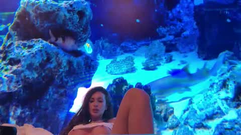 LunaBex online show from February 2026 09:22:02 PM