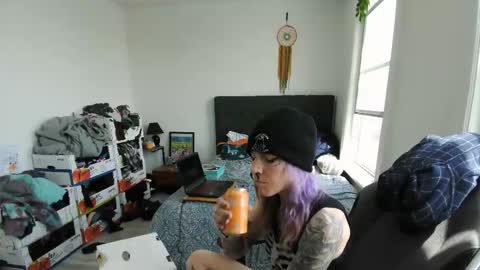 lunaraccoona online show from May 2026 05:40:01 PM