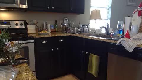 lustersp1ce online show from December 2024 06:06:01 PM