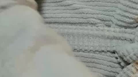 lustgardener67 online show from December 2024 06:03:02 PM