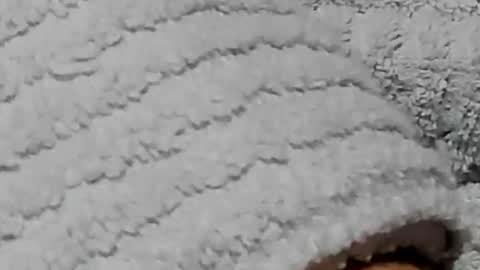 lustgardener67 online show from February 2025 07:21:01 PM