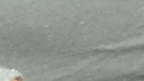 lustgardener67 online show from February 2025 09:28:01 AM