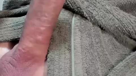 lustgardener67 online show from February 2026 07:46:01 AM