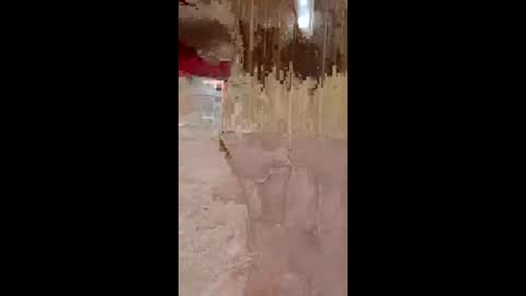 lustinaxxx online show from December 2025 10:25:01 PM