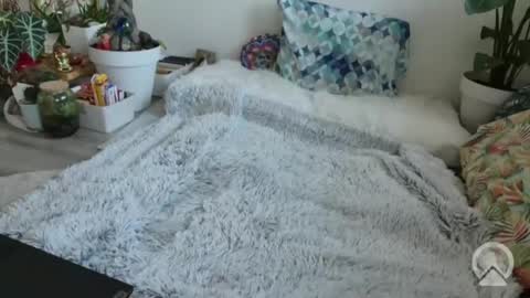 Snapshot of lustlnbalancevh chatting on January 2026 07:56:02 AM lustlnbalancevh online show from January 2026 07:56:02 AM