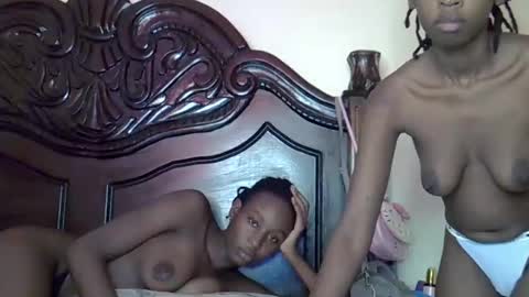 lutino_lovebirds online show from March 2026 10:19:01 AM