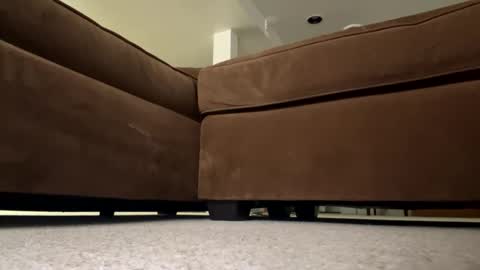 luv_2_master_bate online show from September 2025 07:06:02 PM