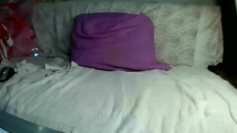 Bee Bee online show from March 2025 06:38:02 AM