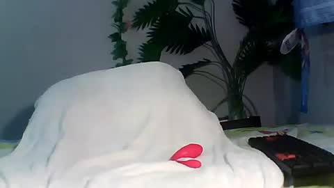 Bee Bee online show from September 2025 03:35:01 PM