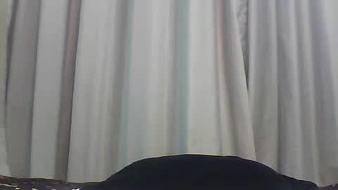 Bee Bee online show from January 2026 02:47:01 AM