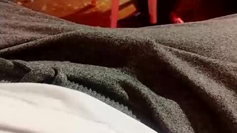 Lvac11 online show from December 2024 10:30:01 PM