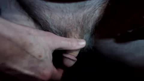 lwg1951 online show from April 2026 04:01:01 AM