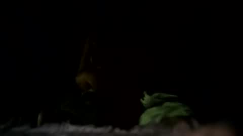 m8437769 online show from October 2025 07:13:02 PM